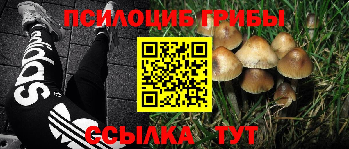 Шали  Галлюциногенные грибы Magic Shrooms  Вход с VPN 